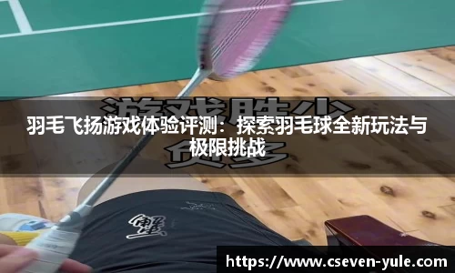羽毛飞扬游戏体验评测：探索羽毛球全新玩法与极限挑战